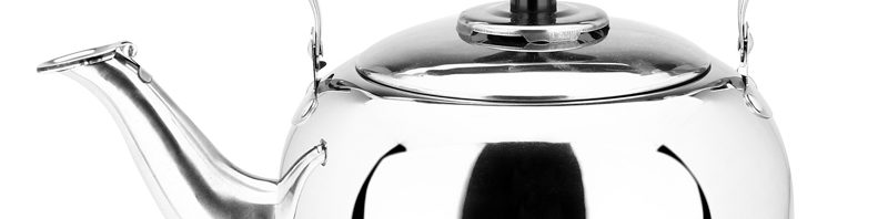 Whistle Stainless Steel Kettle