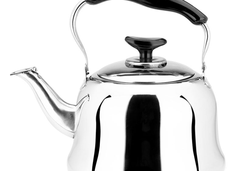 whistle stainless steel kettle
